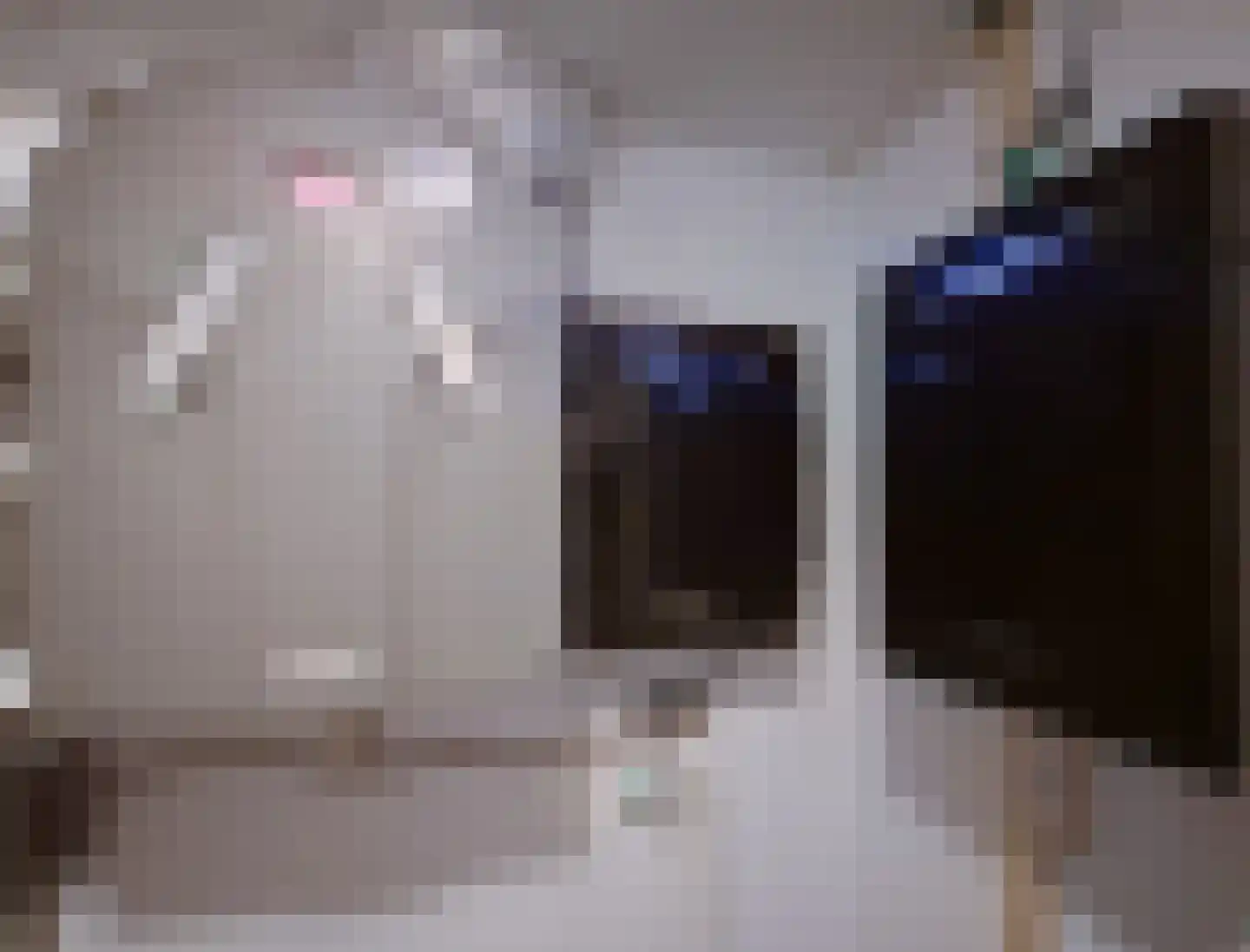 Drooghe Bol 2028 Julianadorp thumbnail 38