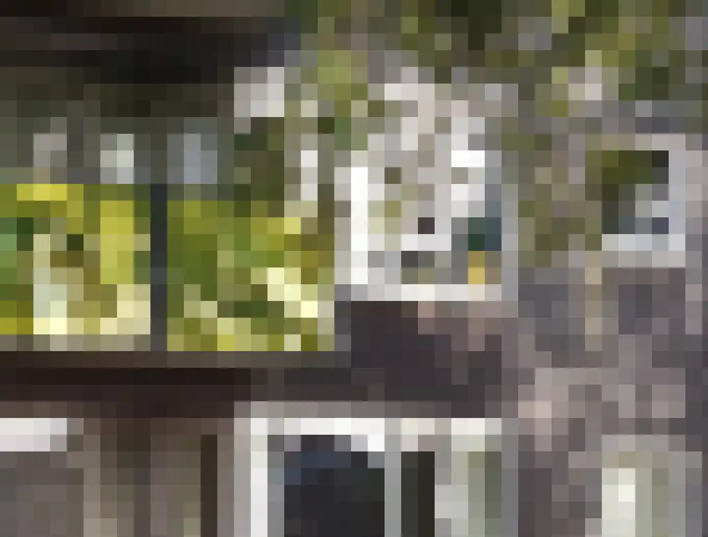 Drooghe Bol 2028 Julianadorp thumbnail 4