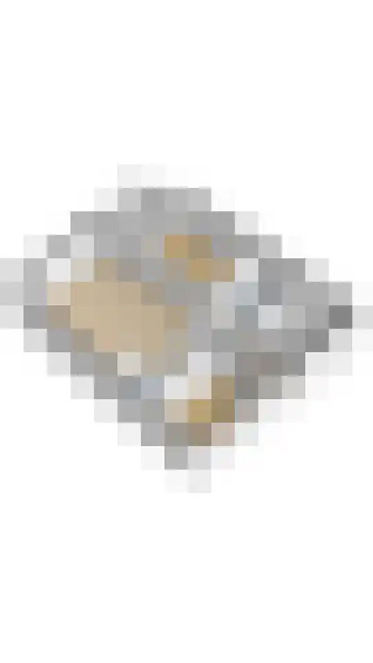Drooghe Bol 2028 Julianadorp thumbnail 43