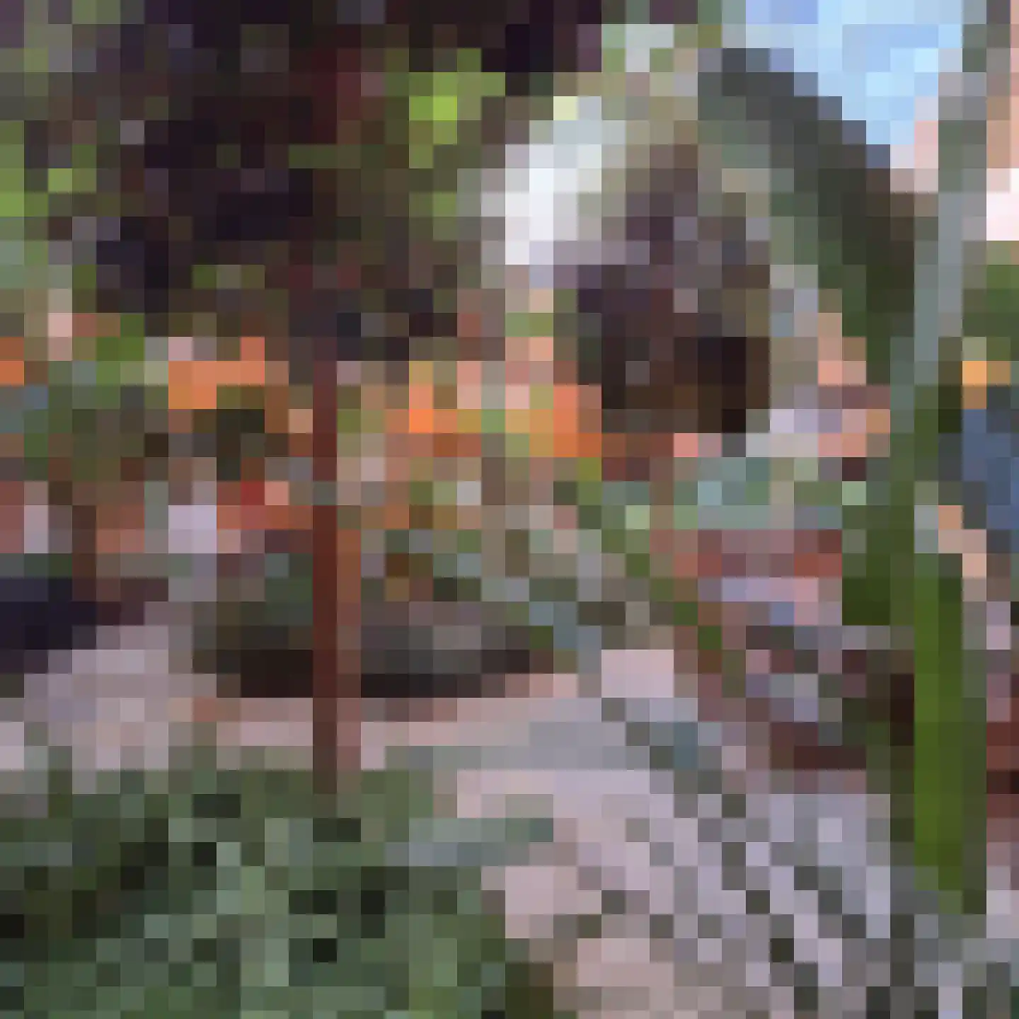 Drooghe Bol 2028 Julianadorp thumbnail 9