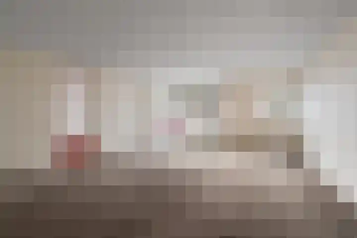 Drooghe Bol 2029 Julianadorp thumbnail 10