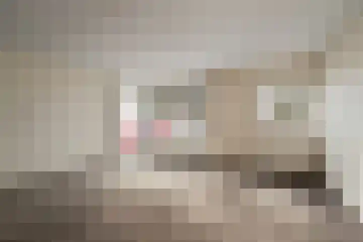 Drooghe Bol 2029 Julianadorp thumbnail 13
