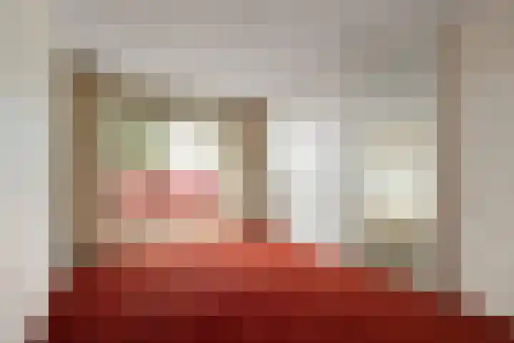 Drooghe Bol 2029 Julianadorp thumbnail 14
