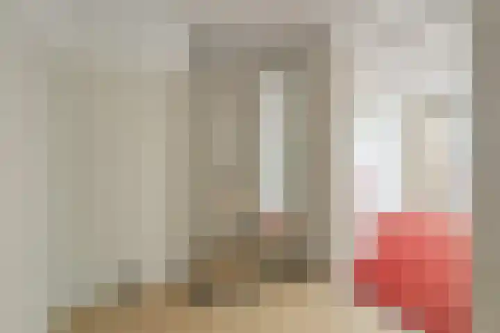 Drooghe Bol 2029 Julianadorp thumbnail 16
