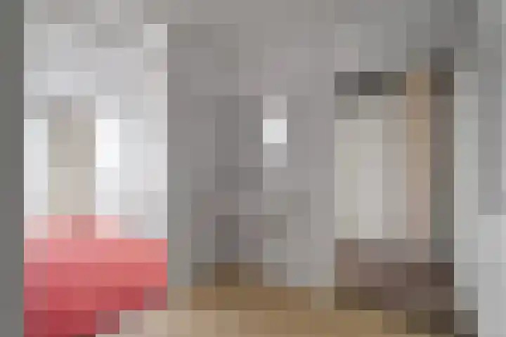 Drooghe Bol 2029 Julianadorp thumbnail 17