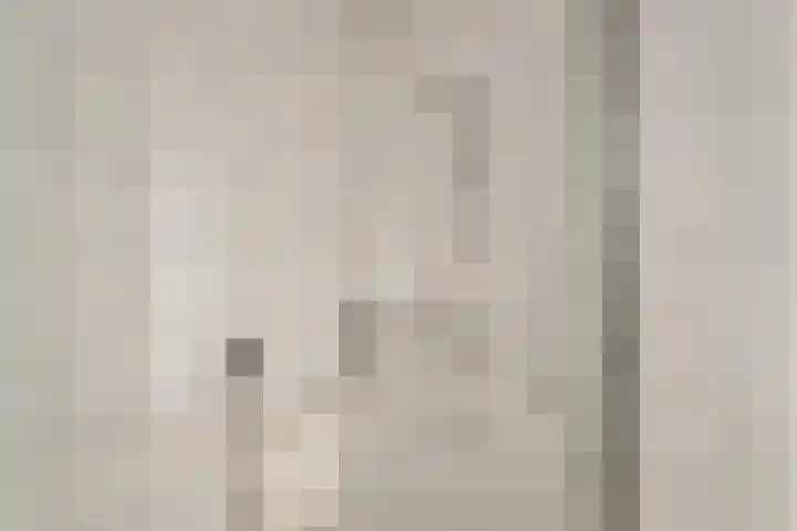 Drooghe Bol 2029 Julianadorp thumbnail 18