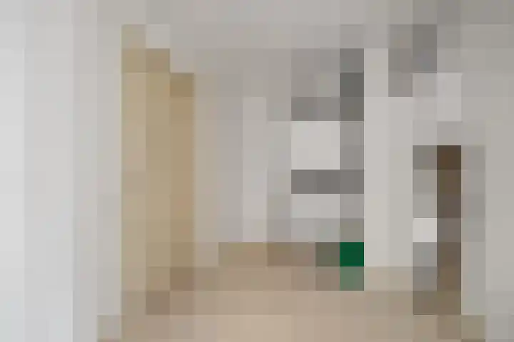 Drooghe Bol 2029 Julianadorp thumbnail 21