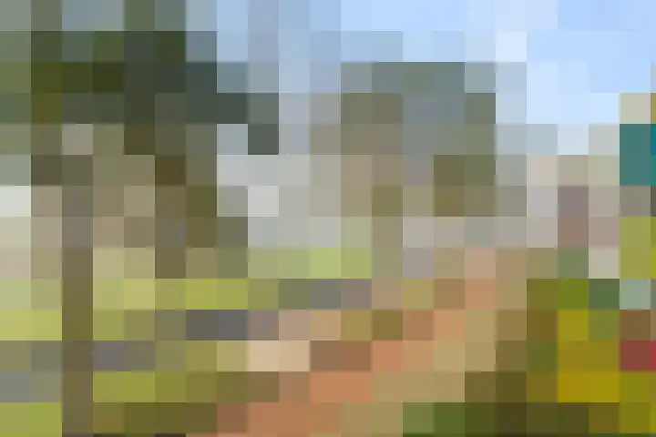 Drooghe Bol 2029 Julianadorp thumbnail 24