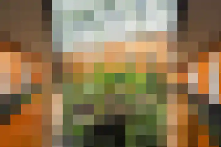 Drooghe Bol 2029 Julianadorp thumbnail 5
