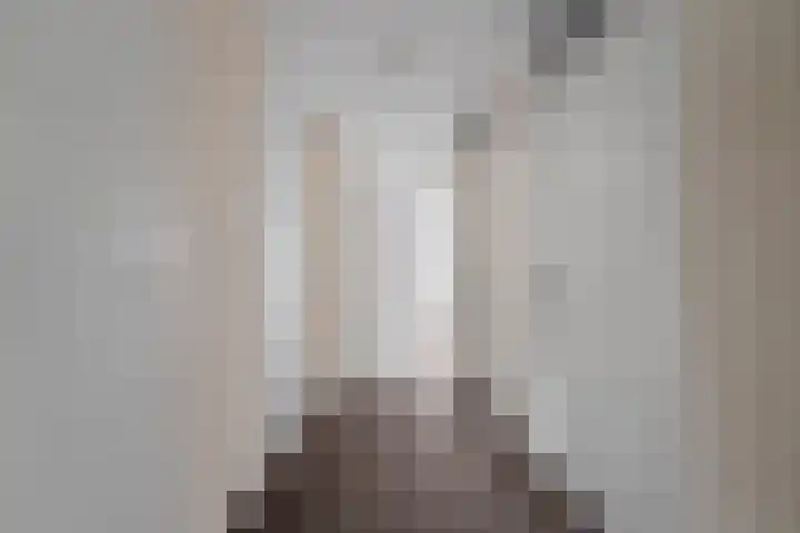Drooghe Bol 2029 Julianadorp thumbnail 8