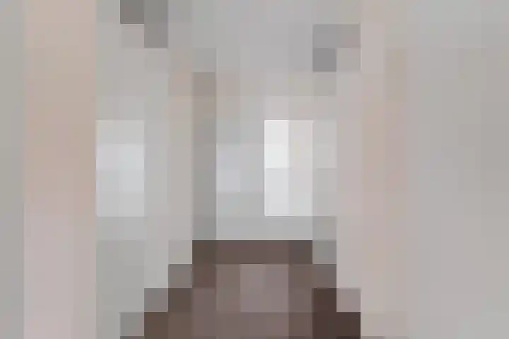 Drooghe Bol 2029 Julianadorp thumbnail 9