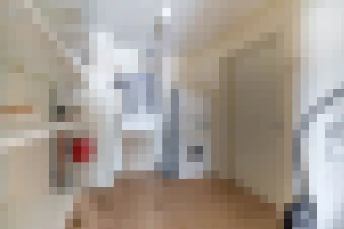 Drooghe Bol 2038 Julianadorp thumbnail 17