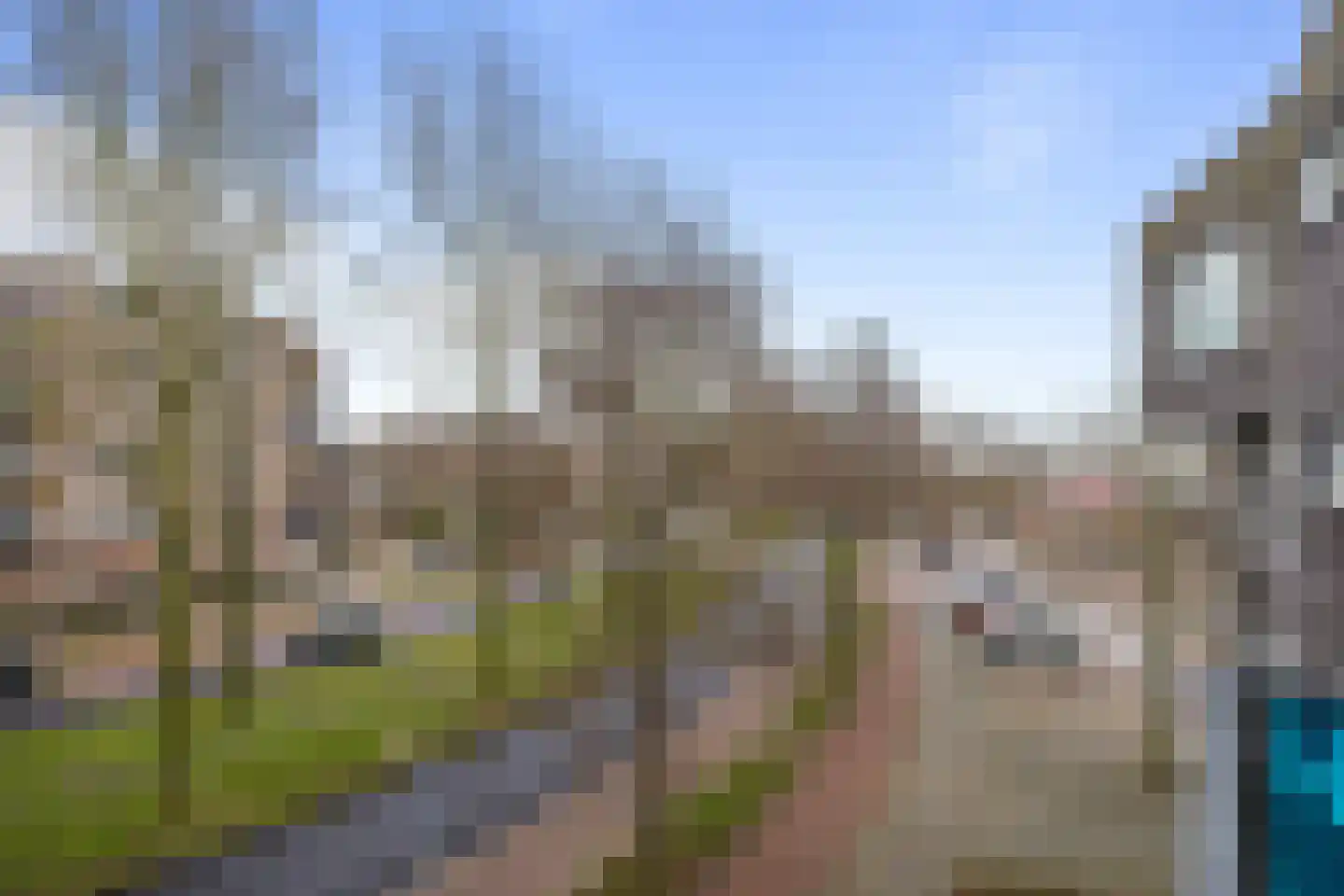 Drooghe Bol 2040 Julianadorp thumbnail 11