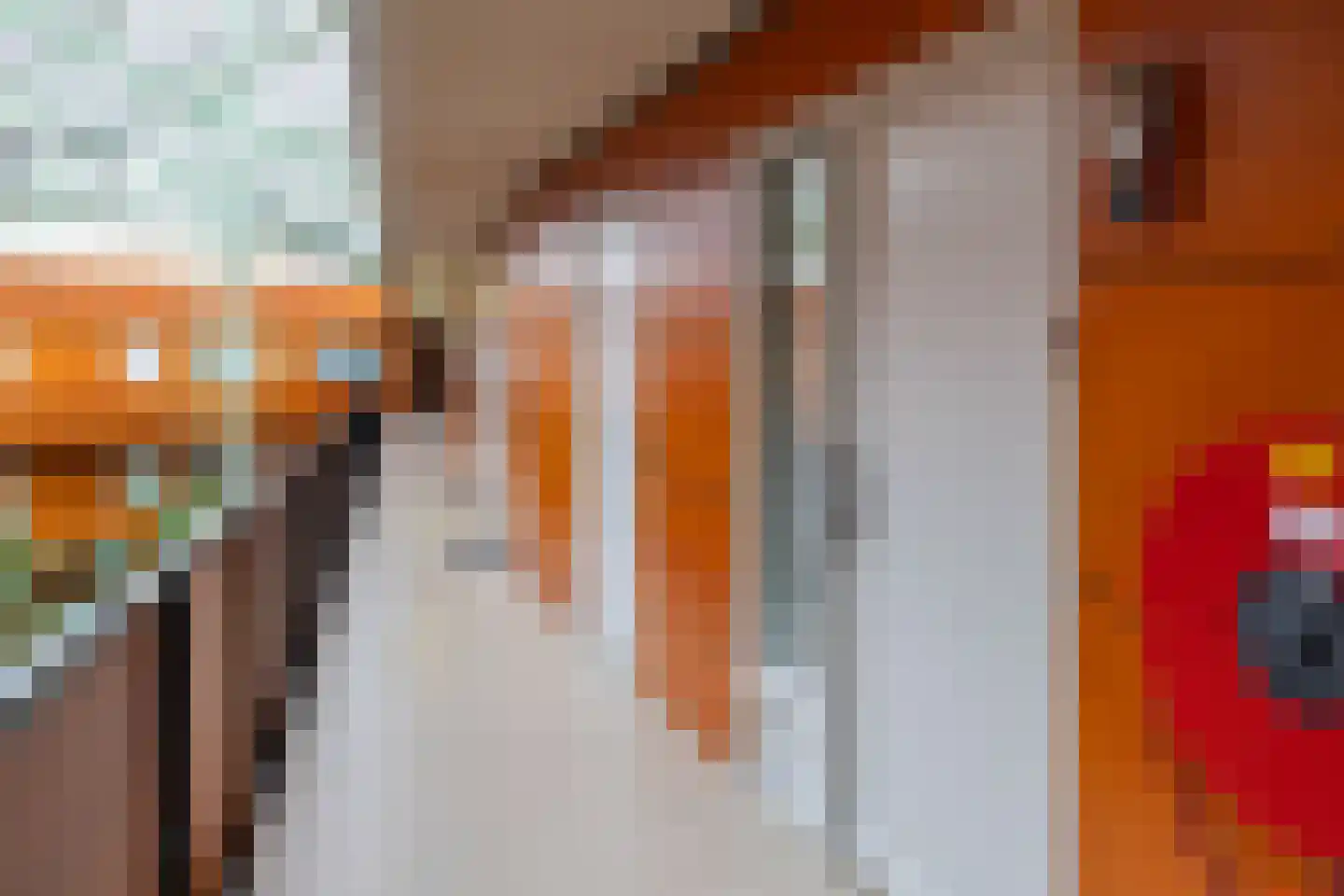 Drooghe Bol 2040 Julianadorp thumbnail 4