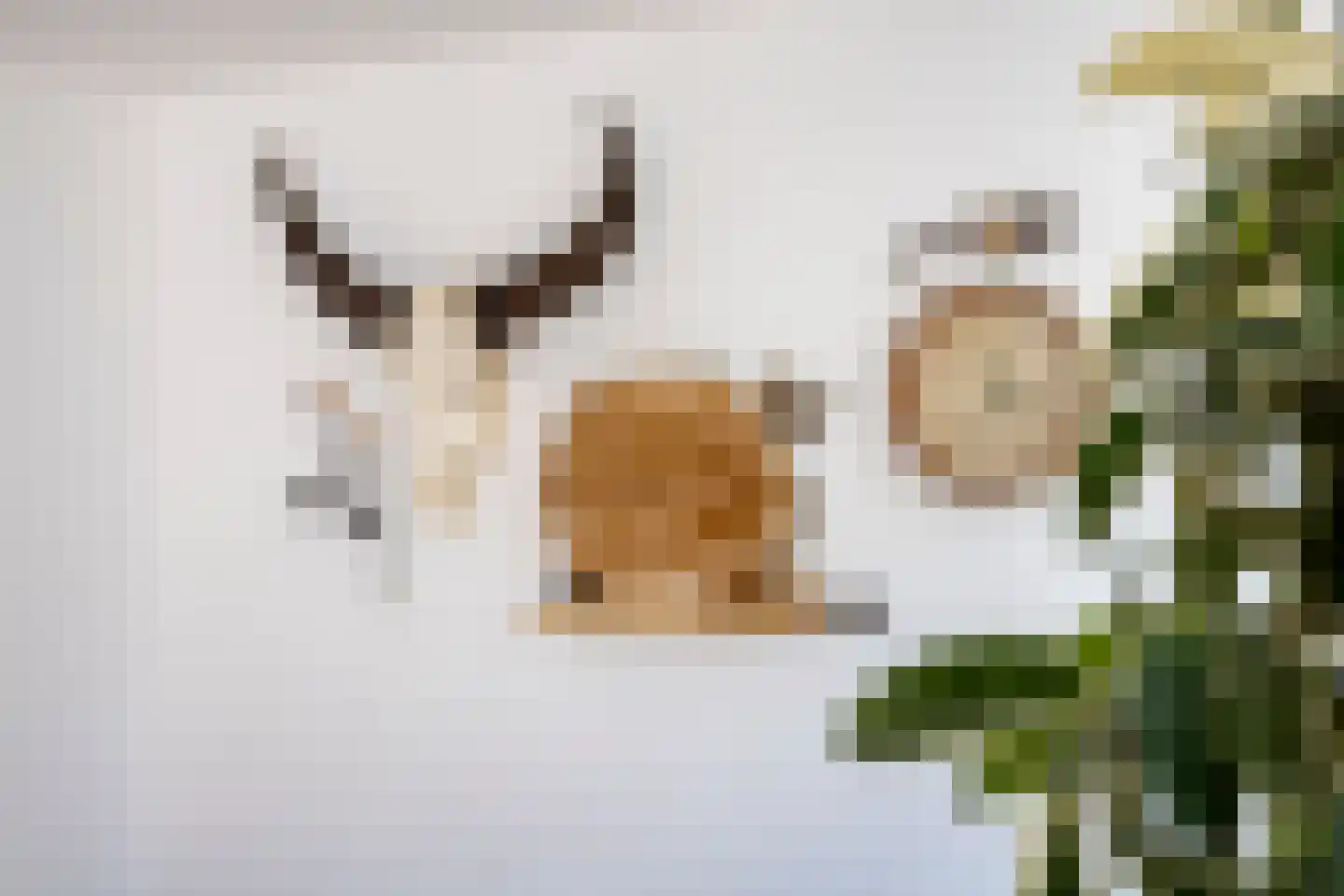Droogmakerij 14 Stompetoren thumbnail 35