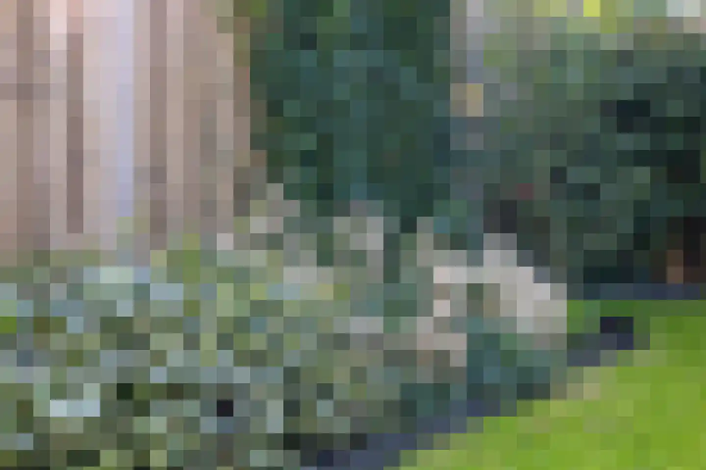 Droogmakerij 14 Stompetoren thumbnail 39