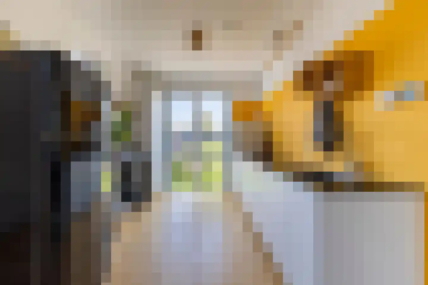 Droogmakerij 14 Stompetoren thumbnail 4