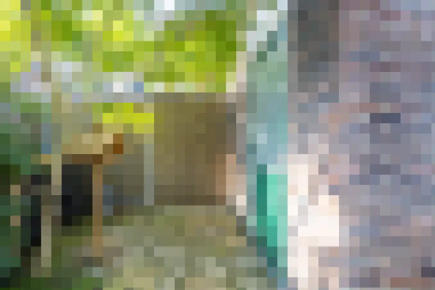 Droogmakerij 14 Stompetoren thumbnail 40
