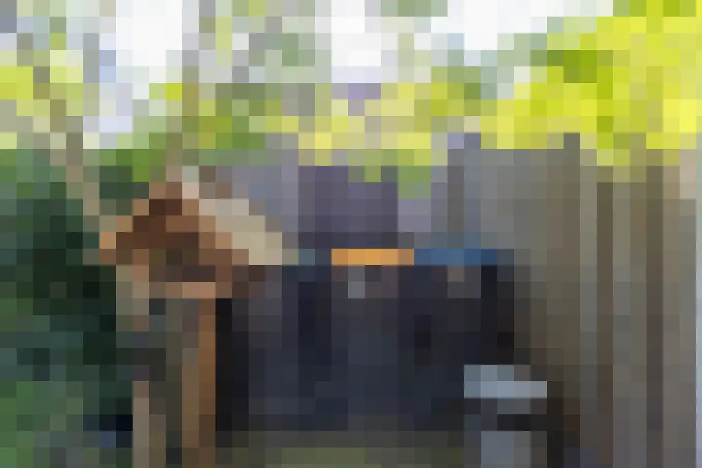 Droogmakerij 14 Stompetoren thumbnail 42