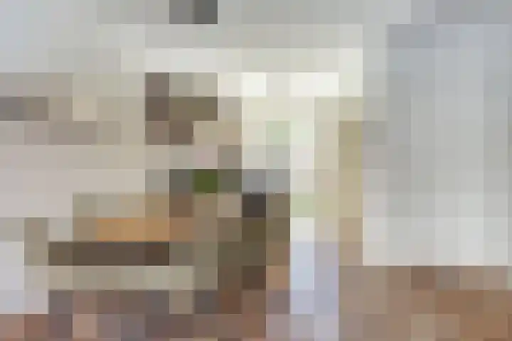 Droogmakerij 16 Stompetoren thumbnail 11