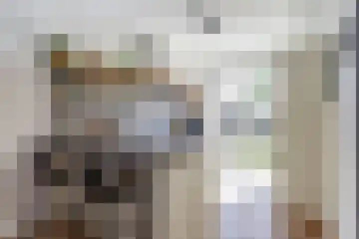 Droogmakerij 16 Stompetoren thumbnail 12