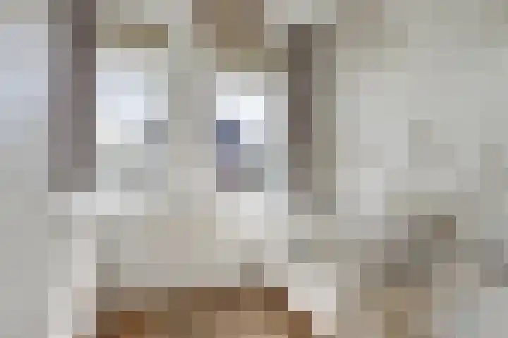 Droogmakerij 16 Stompetoren thumbnail 16