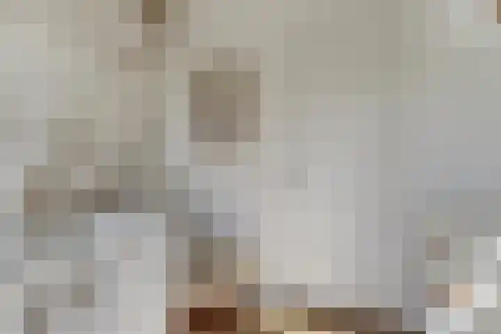 Droogmakerij 16 Stompetoren thumbnail 17