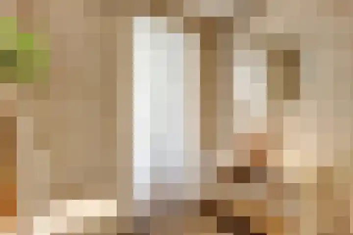 Droogmakerij 16 Stompetoren thumbnail 23