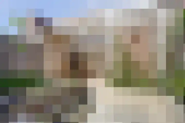 Droogmakerij 16 Stompetoren thumbnail 27