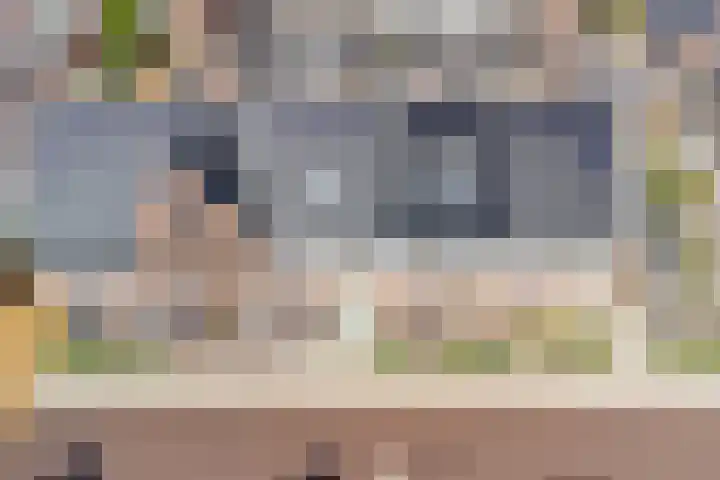 Droogmakerij 16 Stompetoren thumbnail 29