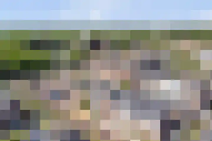 Droogmakerij 16 Stompetoren thumbnail 30