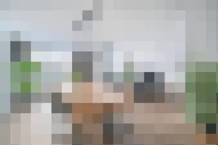 Droogmakerij 28 Wilnis thumbnail 10