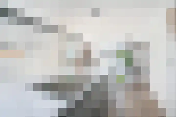 Droogmakerij 28 Wilnis thumbnail 14