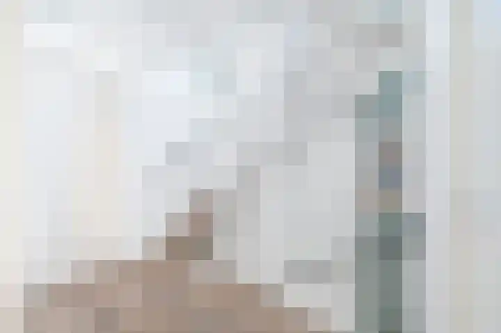 Droogmakerij 28 Wilnis thumbnail 15