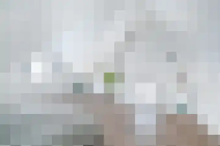 Droogmakerij 28 Wilnis thumbnail 24