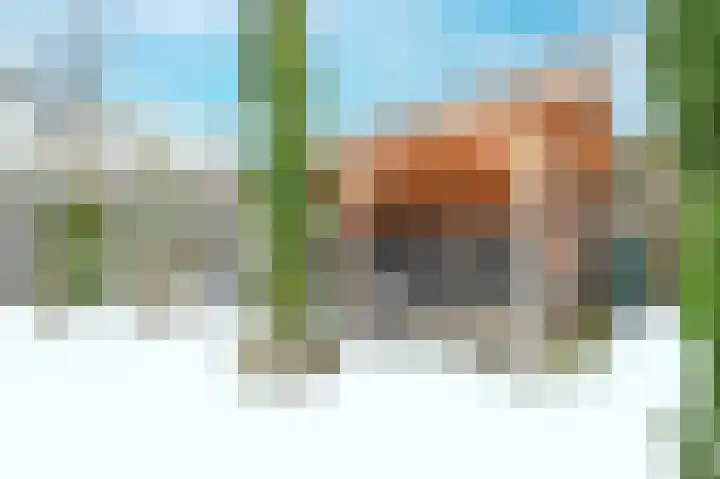 Droogmakerij 28 Wilnis thumbnail 29