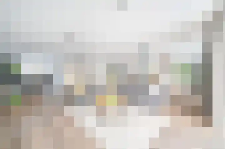 Droogmakerij 28 Wilnis thumbnail 8