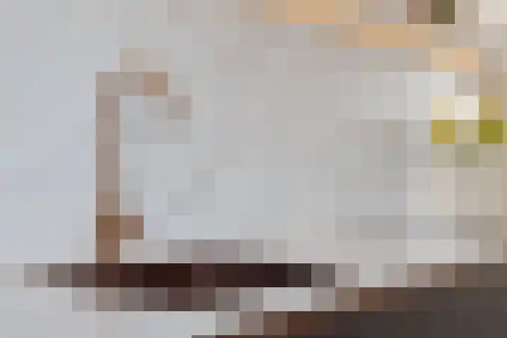 Droogmakerij 3 a Middenbeemster thumbnail 16