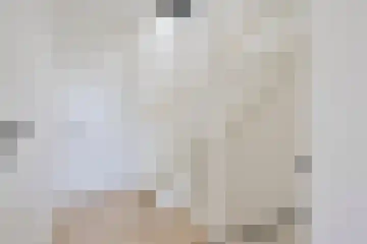 Droogmakerij 3 a Middenbeemster thumbnail 21