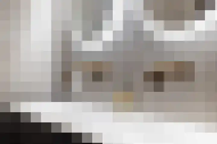 Droogmakerij 3 a Middenbeemster thumbnail 24
