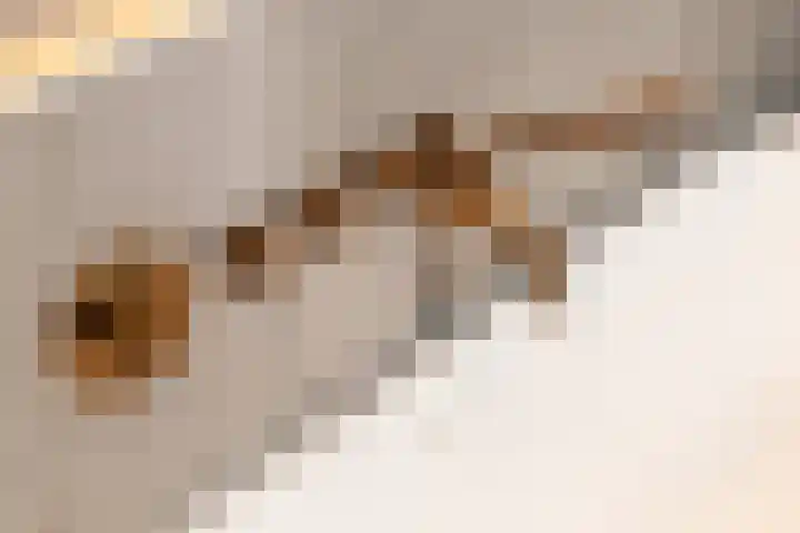 Droogmakerij 3 a Middenbeemster thumbnail 28