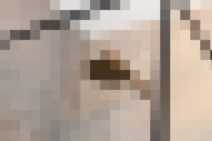 Droogmakerij 3 a Middenbeemster thumbnail 30