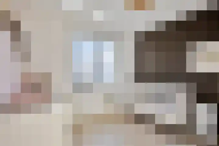 Droogmakerij 3 a Middenbeemster thumbnail 32
