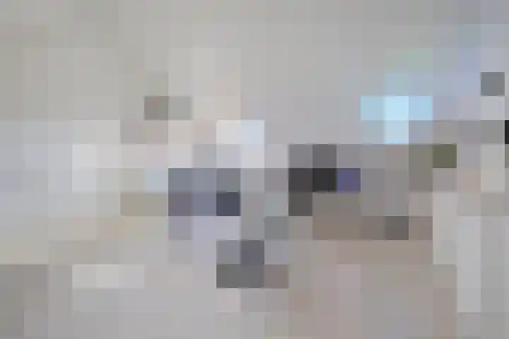 Droogmakerij 3 a Middenbeemster thumbnail 35