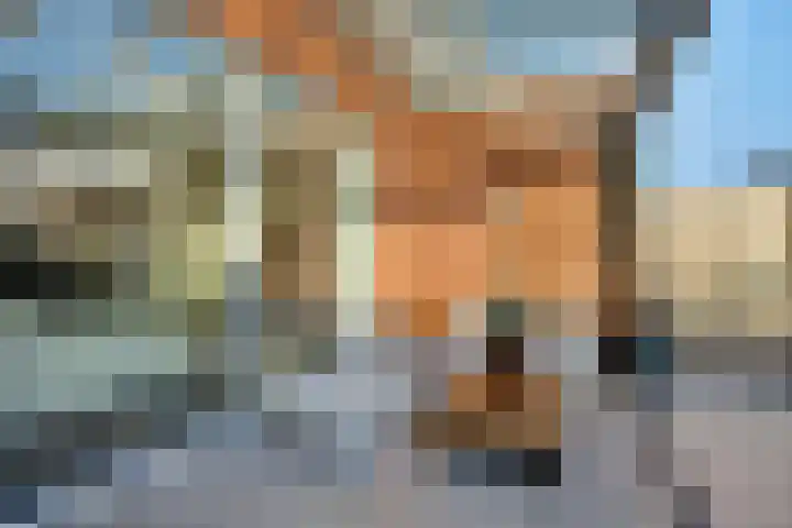 Droogmakerij 3 a Middenbeemster thumbnail 37