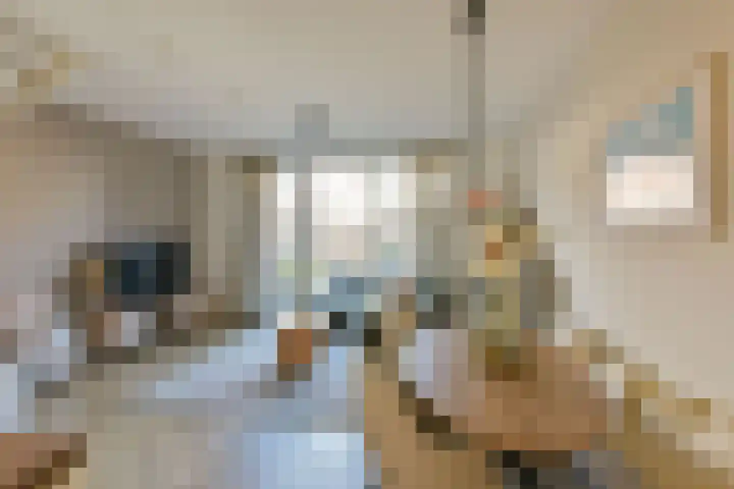 Droogmakerij 35 Wilnis thumbnail 11