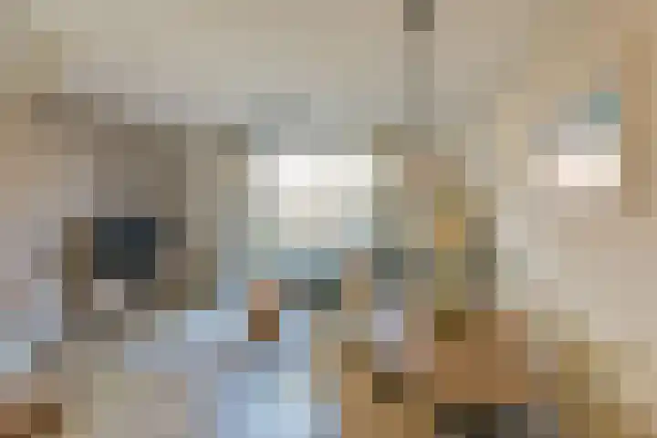 Droogmakerij 35 Wilnis thumbnail 11