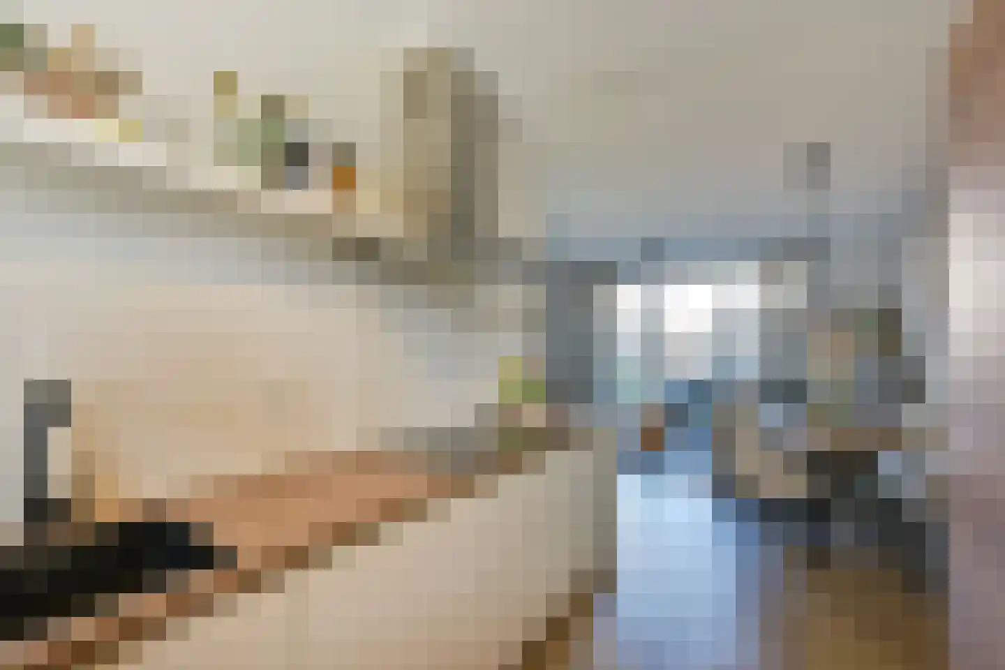 Droogmakerij 35 Wilnis thumbnail 14