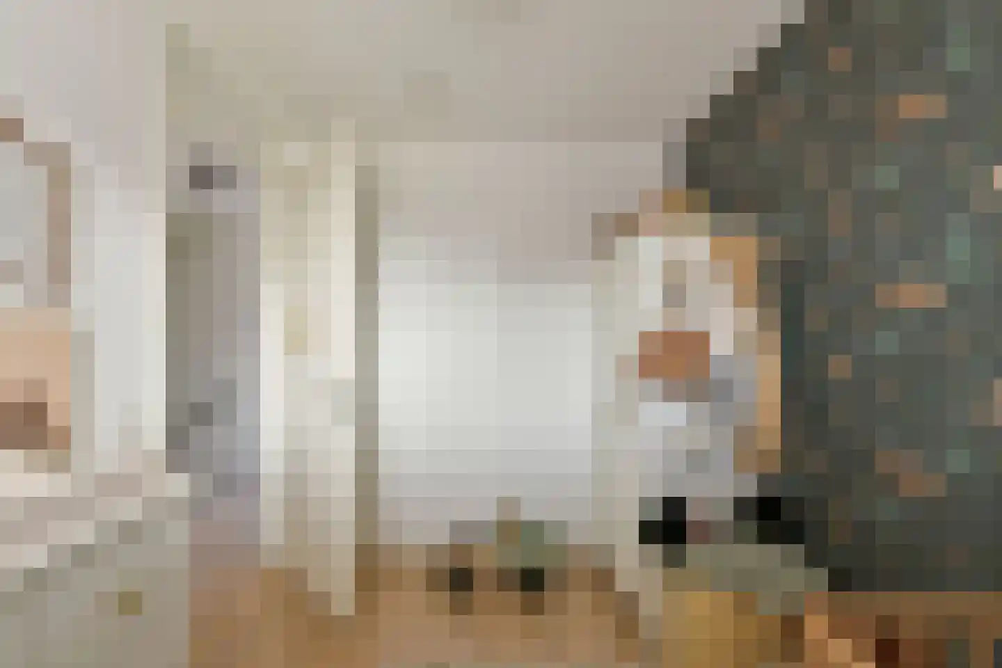 Droogmakerij 35 Wilnis thumbnail 18