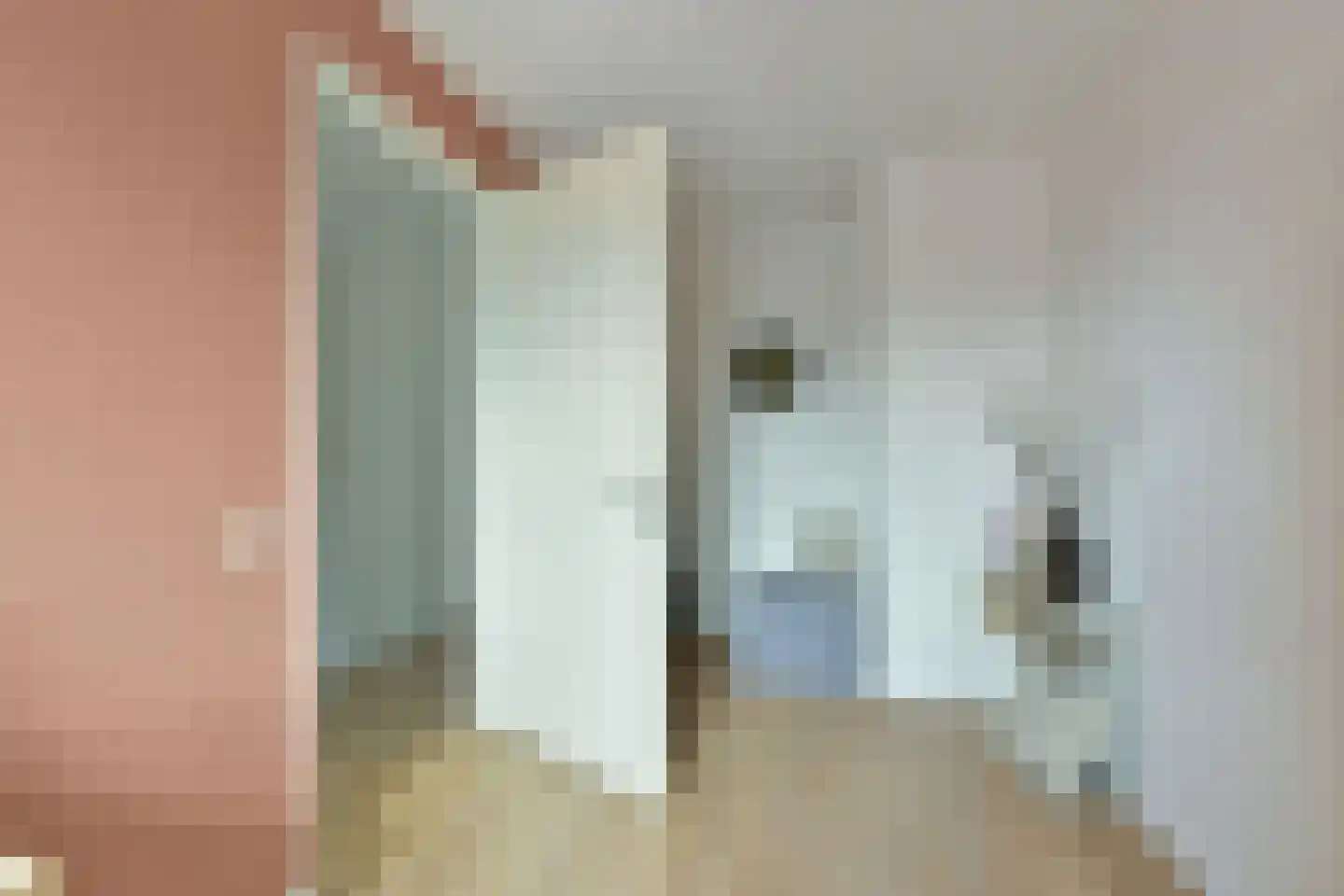 Droogmakerij 35 Wilnis thumbnail 23